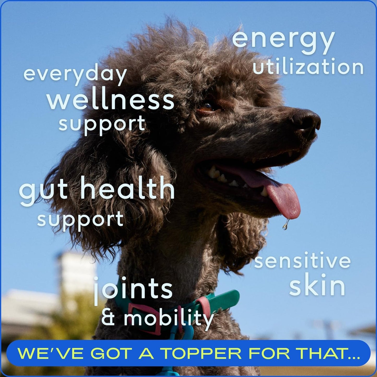 Native Pet The Daily, Dog Supplement