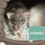 Oxbow Select Adult Rat Food, 2.5-lb