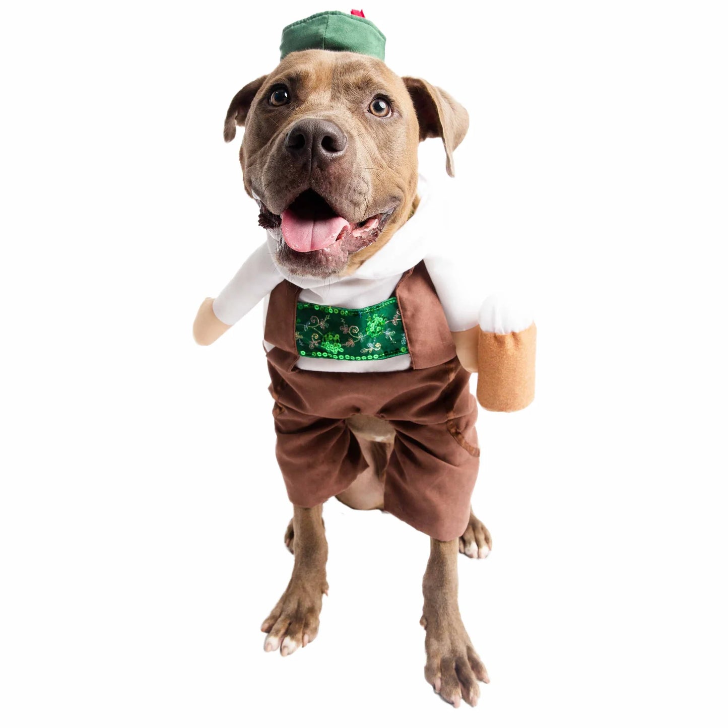 Pet Krewe German Oktoberfest, Dog Costume