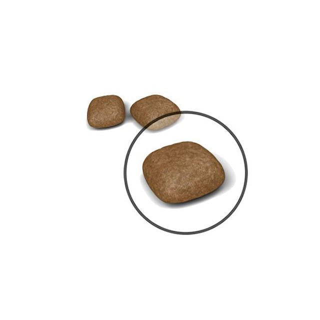 Royal Canin Urinary Care Dry Cat Food