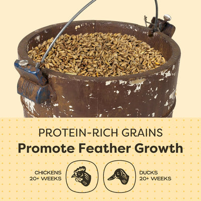 Scratch & Peck 3-Grain Scratch 40-lb, Poultry Feed