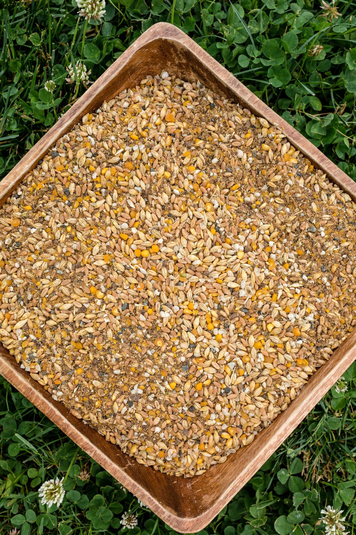 Scratch & Peck Organic Duck & Chicken Layer Mash 16% 40-lb, Poultry Feed