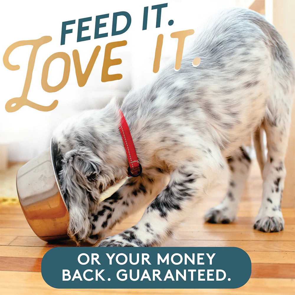 The Missing Link Pet Kelp® Probiotic Blend 8-oz, Dog Supplement