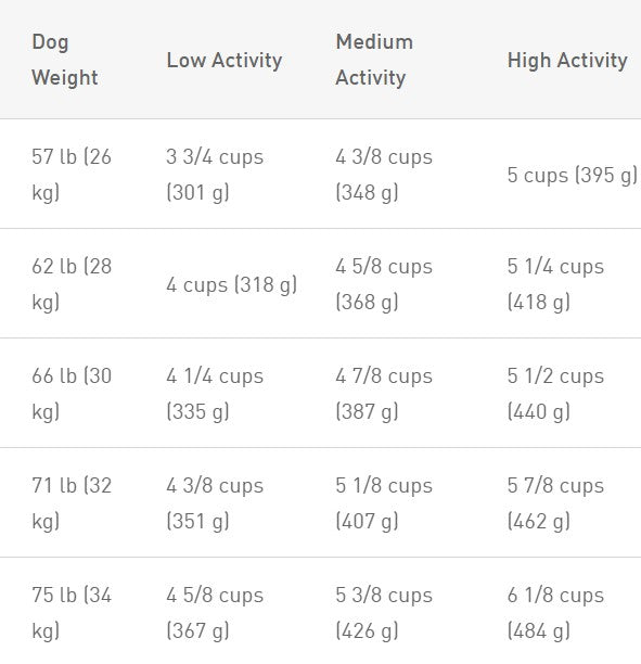 Royal Canin Golden Retriever 30-lb, Dry Dog Food