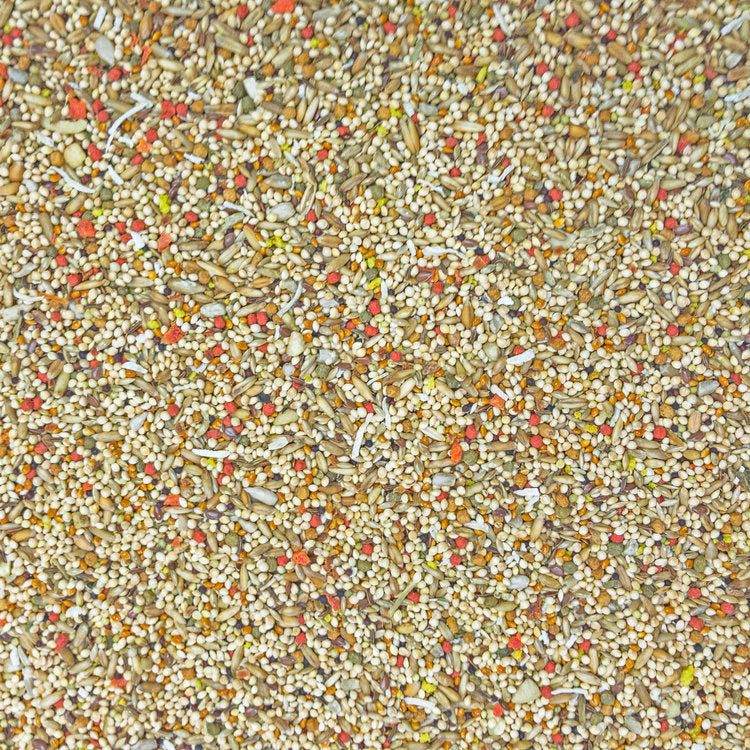 Higgins Sunburst® Parakeet 2-lb, Bird Food