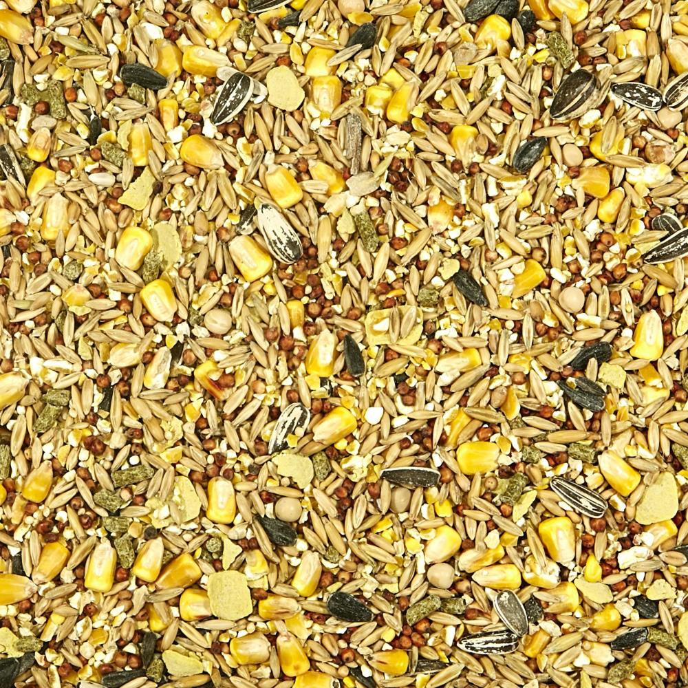 Kaytee Backyard Wildlife 5-lb, Wild Small Animal Food
