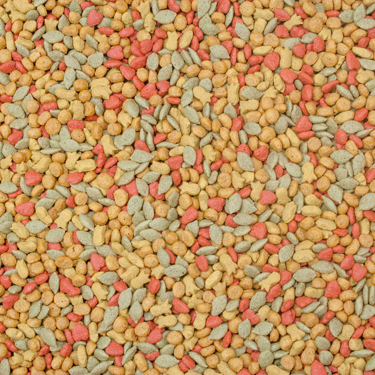 Higgins inTune® Conure & Cockatiel Recipe 2-lb, Bird Food