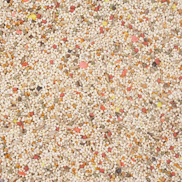 Higgins Vita Seed Parakeet 2.5-lb, Bird Food