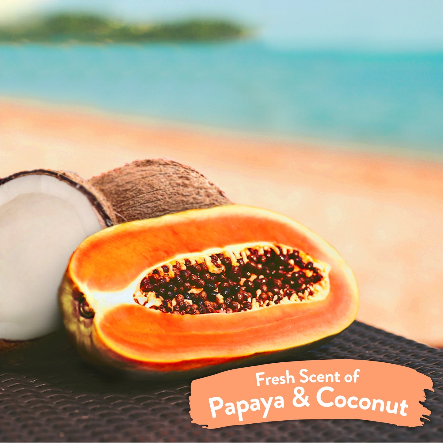 Tropiclean Papaya & Coconut Luxury 2-In-1 Pet Wipes, 100-Count