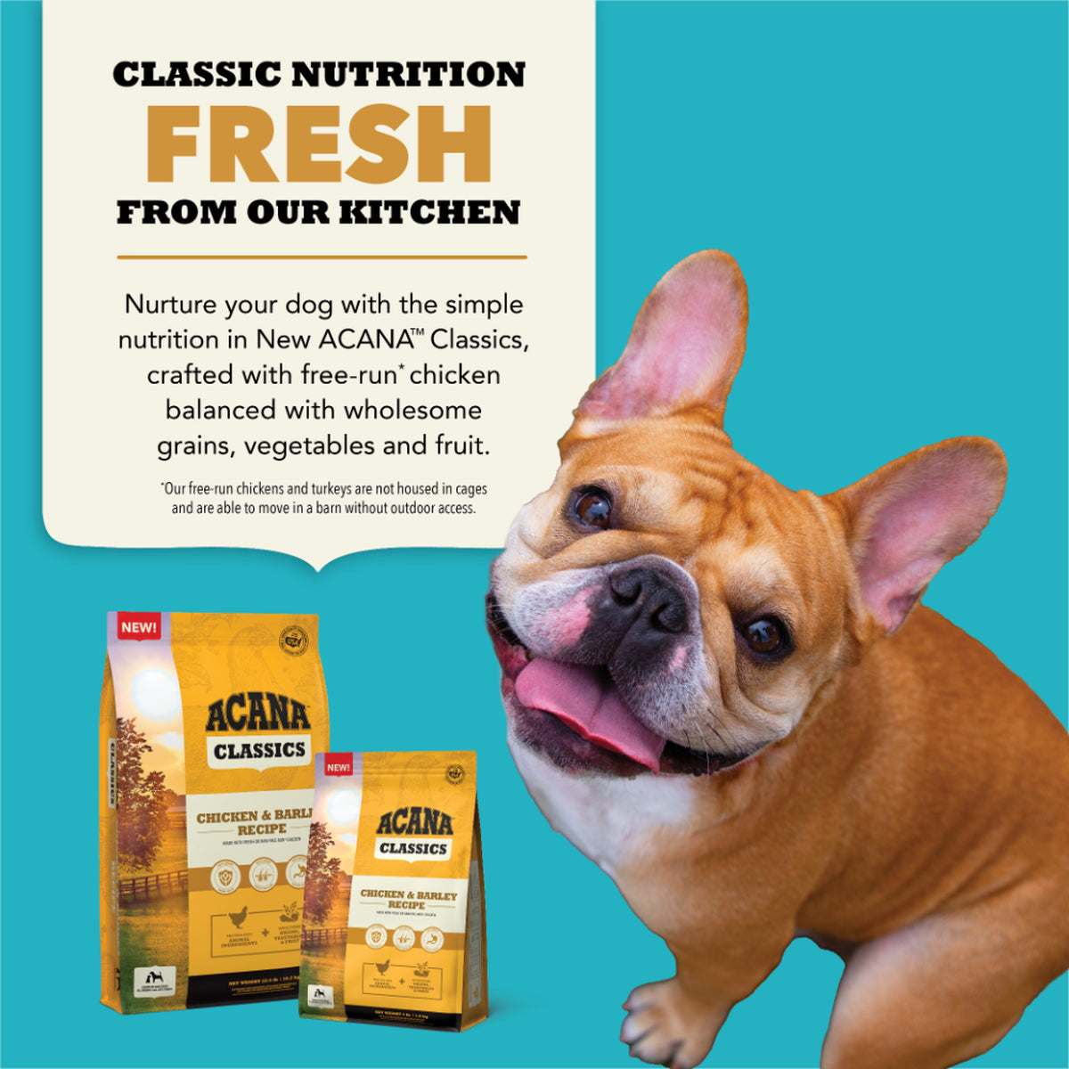 Acana Classics Chicken & Barley Recipe, Dry Dog Food, 22.5-lb Bag