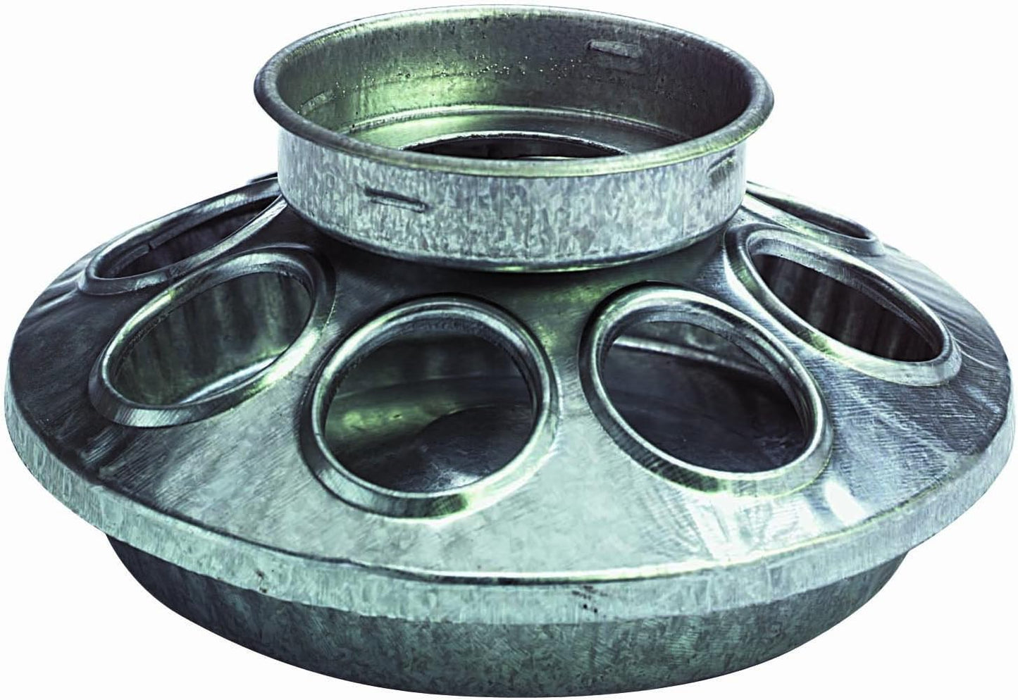 Little Giant Jar Metal Feeder Base, 1-Qt