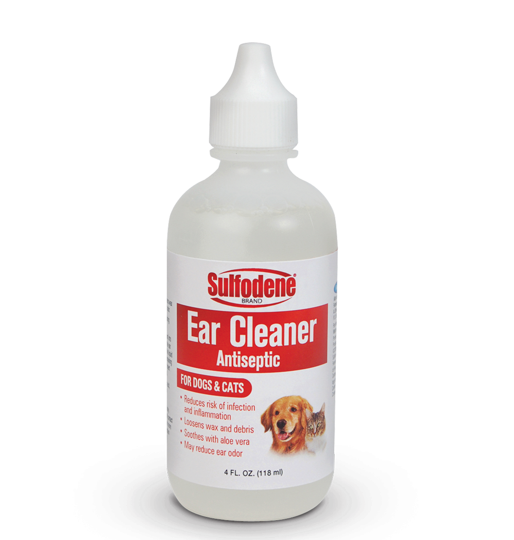Discount cleanaural dog ear cleaner 250ml Free Shipping