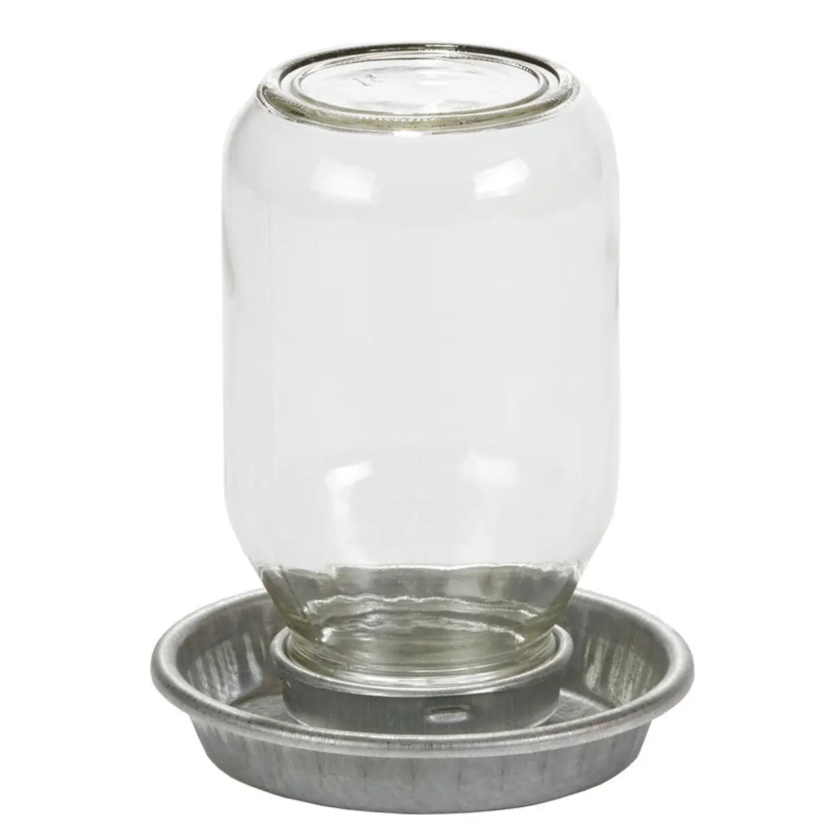 Little Giant Mason Jar Baby Chick Waterer