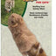 Spot Skinneez Forest Creatures, Cat Toy, Assorted