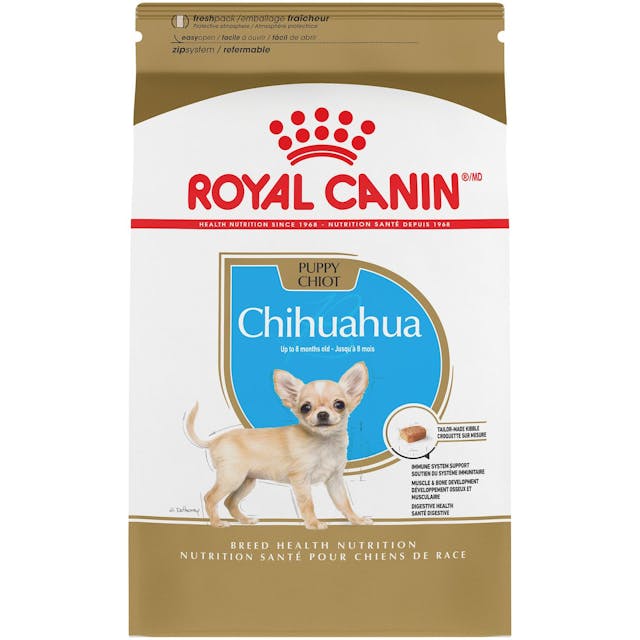 Royal orders canin poodle puppy