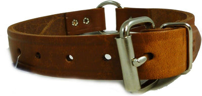 Omnipet Bully Ring Leather Dog Collar