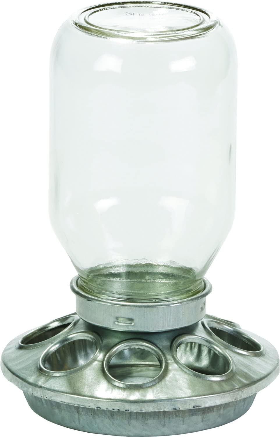 Little Giant Mason Jar Baby Chick Feeder