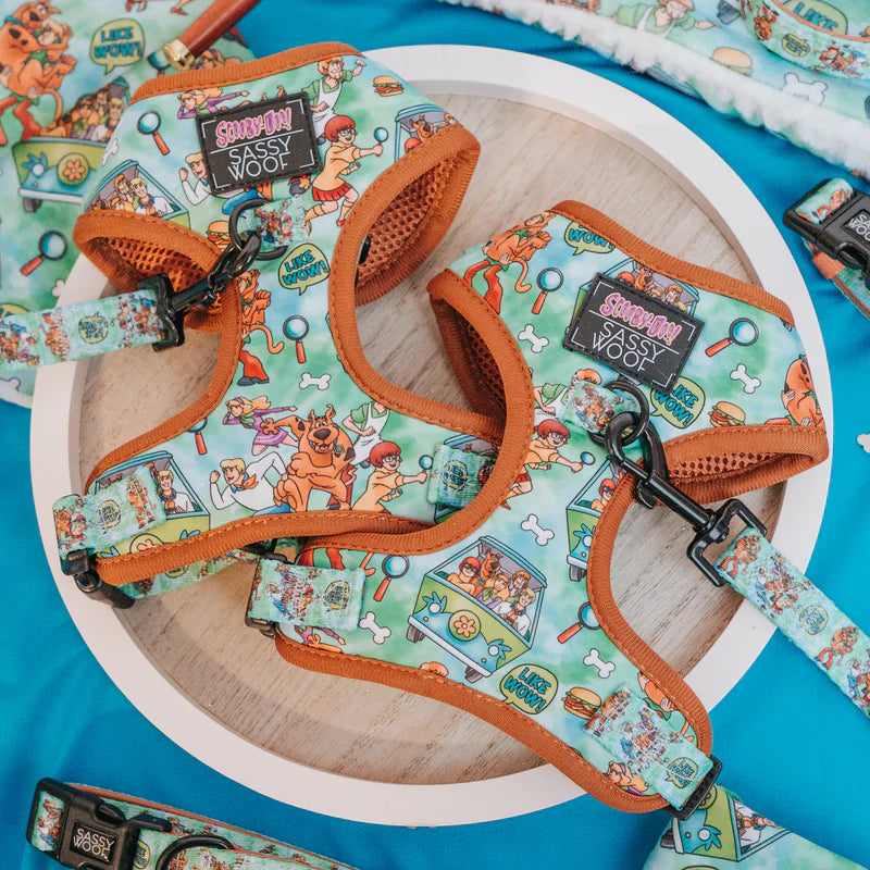Sassy Woof Adjustable Scooby-Doo, Dog Harness