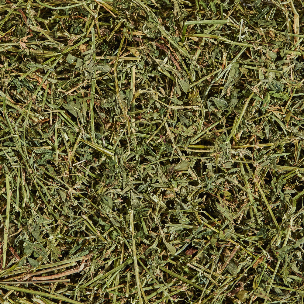 Kaytee Alfalfa Hay Mini Bale 24-oz, Small Animal Treat