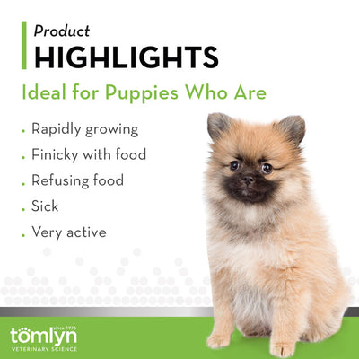 Tomlyn Nutri-Cal® High Calorie Nutritional Gel Malt Flavor For Puppies 4.25-oz, Dog Supplement