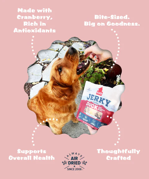 Plato Duck With Cranberry Jerky Bites, Dog Treat, 6-oz Bag