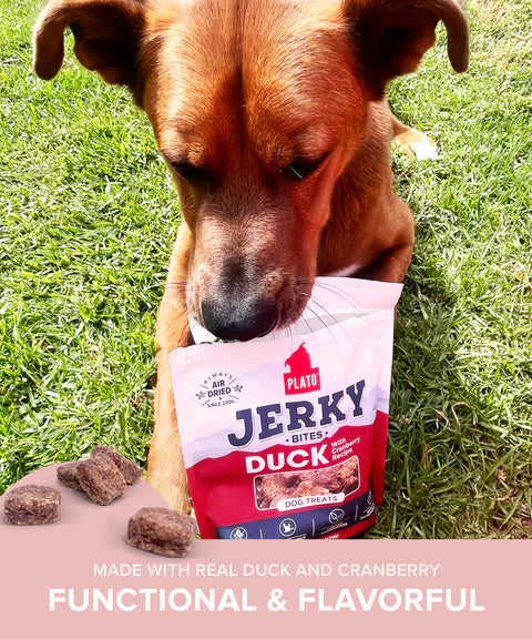Plato Duck With Cranberry Jerky Bites, Dog Treat, 6-oz Bag