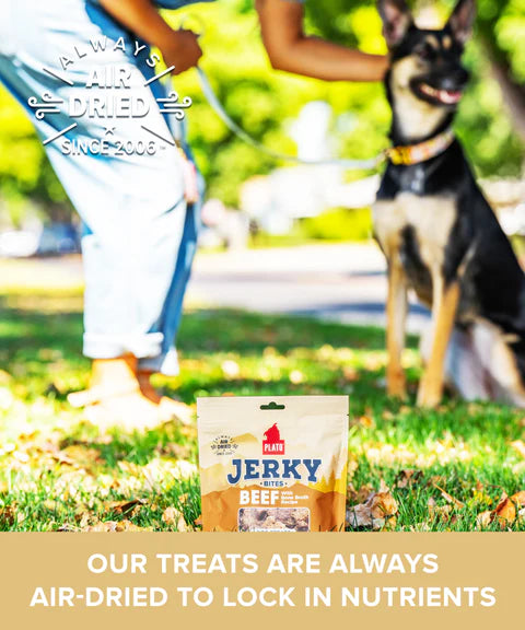 Plato Beef With Bone Broth Jerky Bites, Dog Treat, 6-oz Bag