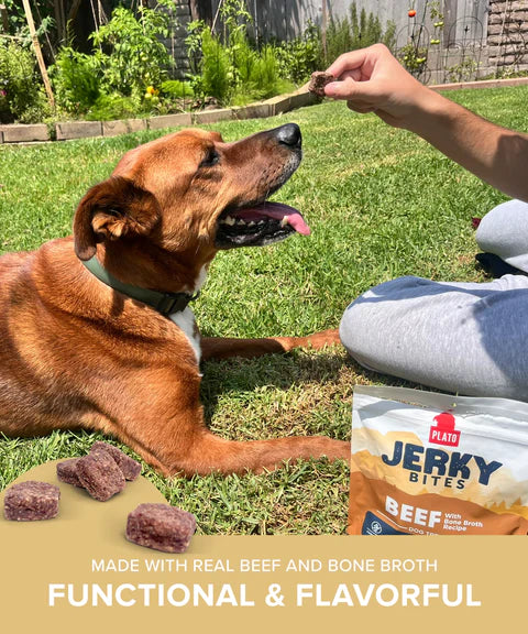 Plato Beef With Bone Broth Jerky Bites, Dog Treat, 6-oz Bag