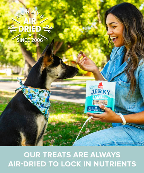 Plato Lamb With Goat Milk Jerky Bites, Dog Treat, 6-oz Bag