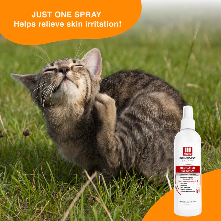 Nootie Medicated Antibacterial & Antifungal 8-oz, Pet Spray