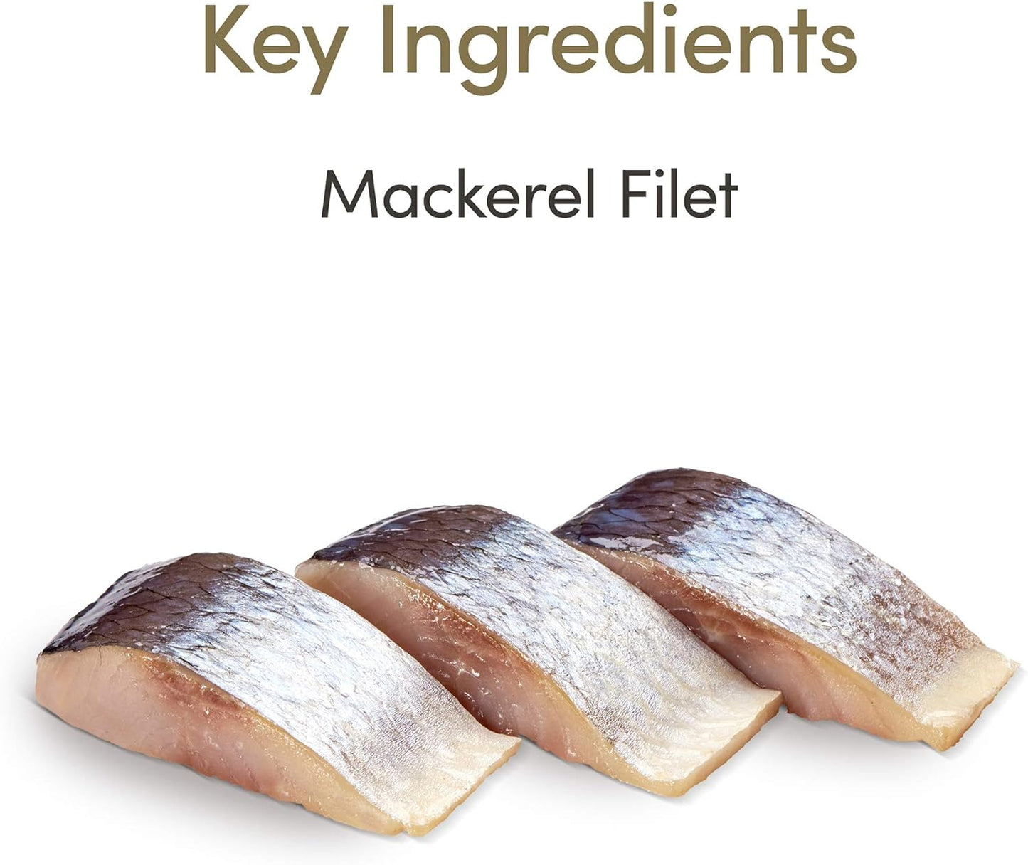 Applaws Loin Mackerel Grain-Free Fillet 1.06-oz, Cat Treat