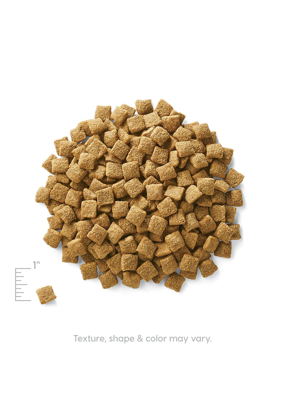 Solid Gold Holistique Blendz™, Dry Dog Food, 4-lb Bag
