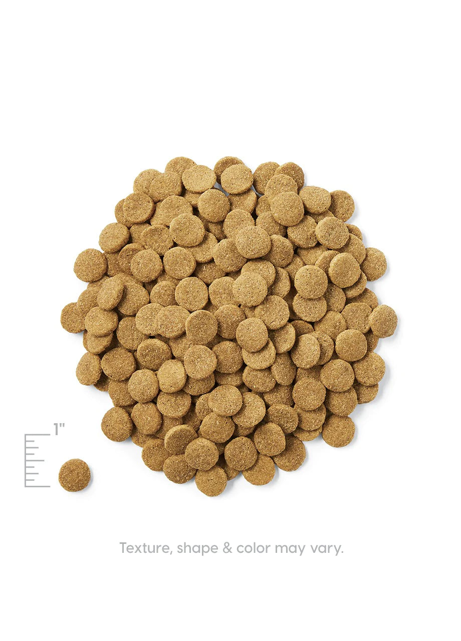 Solid Gold Hund-N-Flocken™, Dry Dog Food