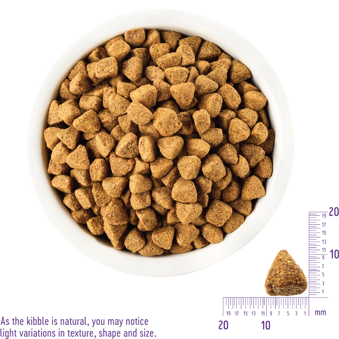 Wellness Complete Health Deboned Chicken & Oatmeal, Dry Dog Food, 26-lb Bag