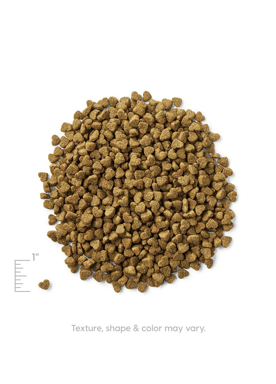 Solid Gold Mighty Mini Chicken Recipe, Dry Dog Food