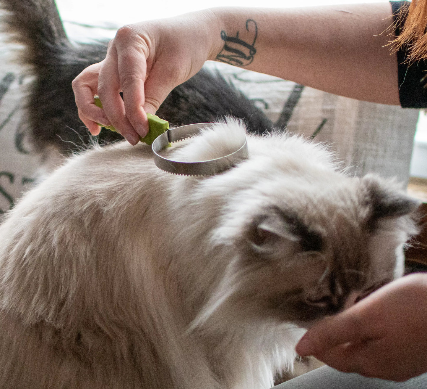 Safari Shedding Blade For Cats