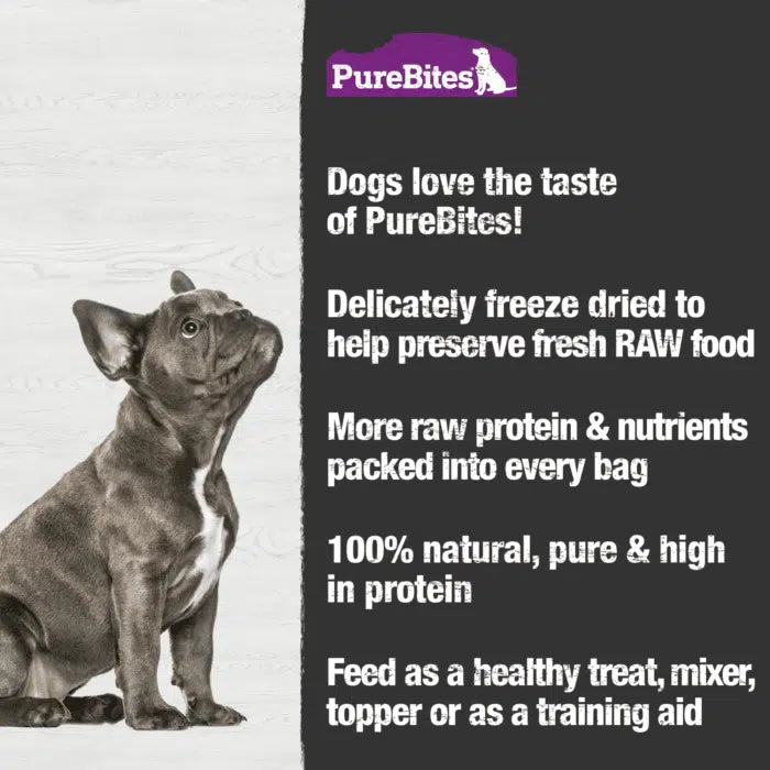 PureBites Freeze-Dried Ocean Whitefish, Dog Treat