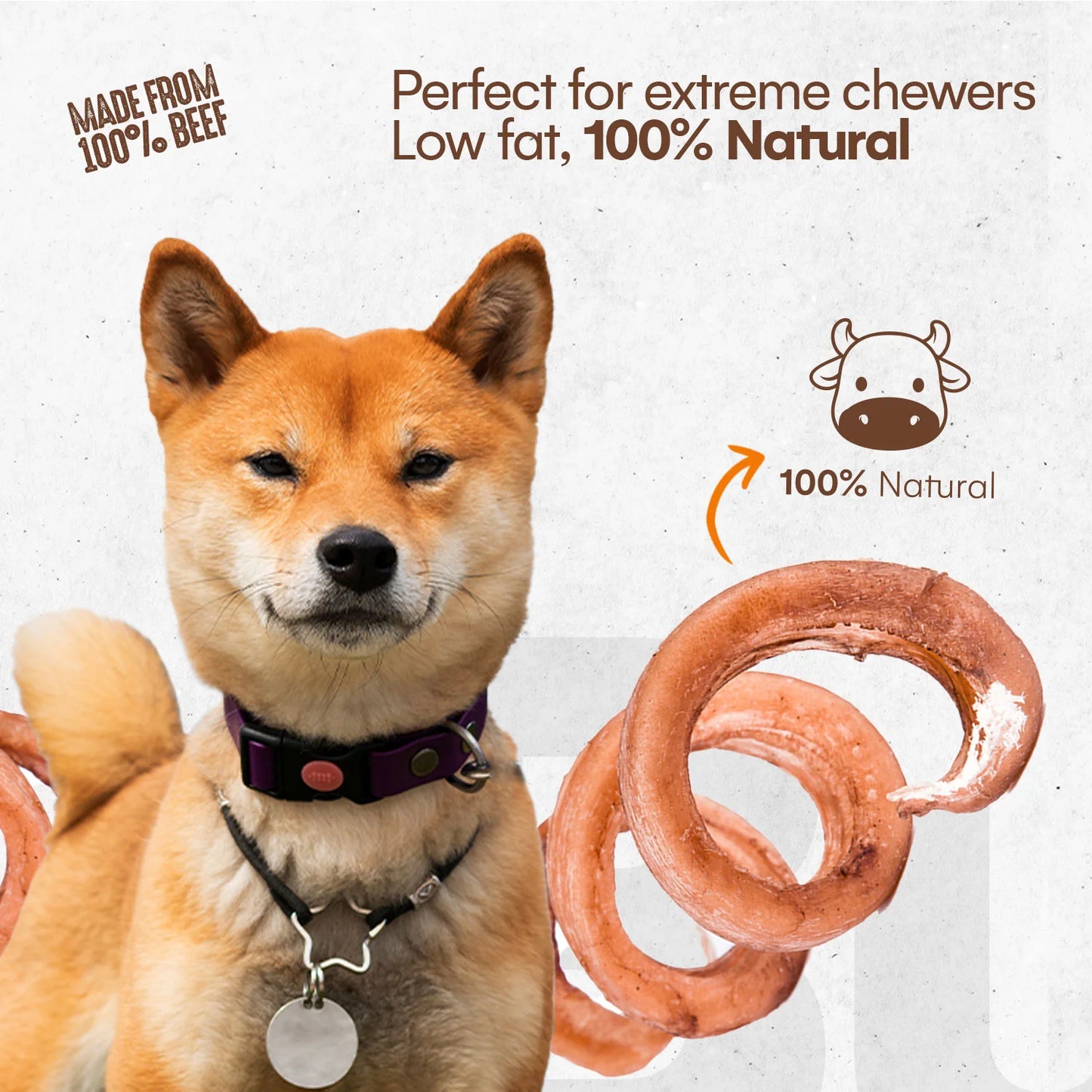 Raw Dog Bully Spring, Dog Chew