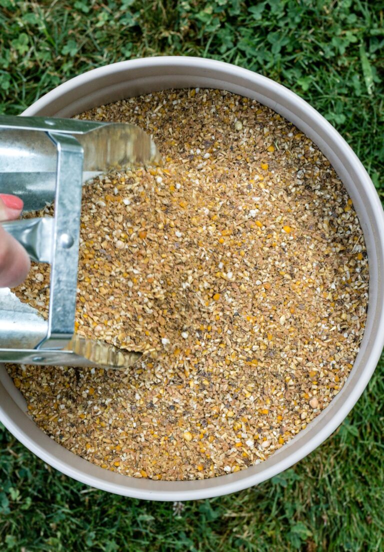 Scratch & Peck Organic Grower Mash 40-lb, Poultry Feed
