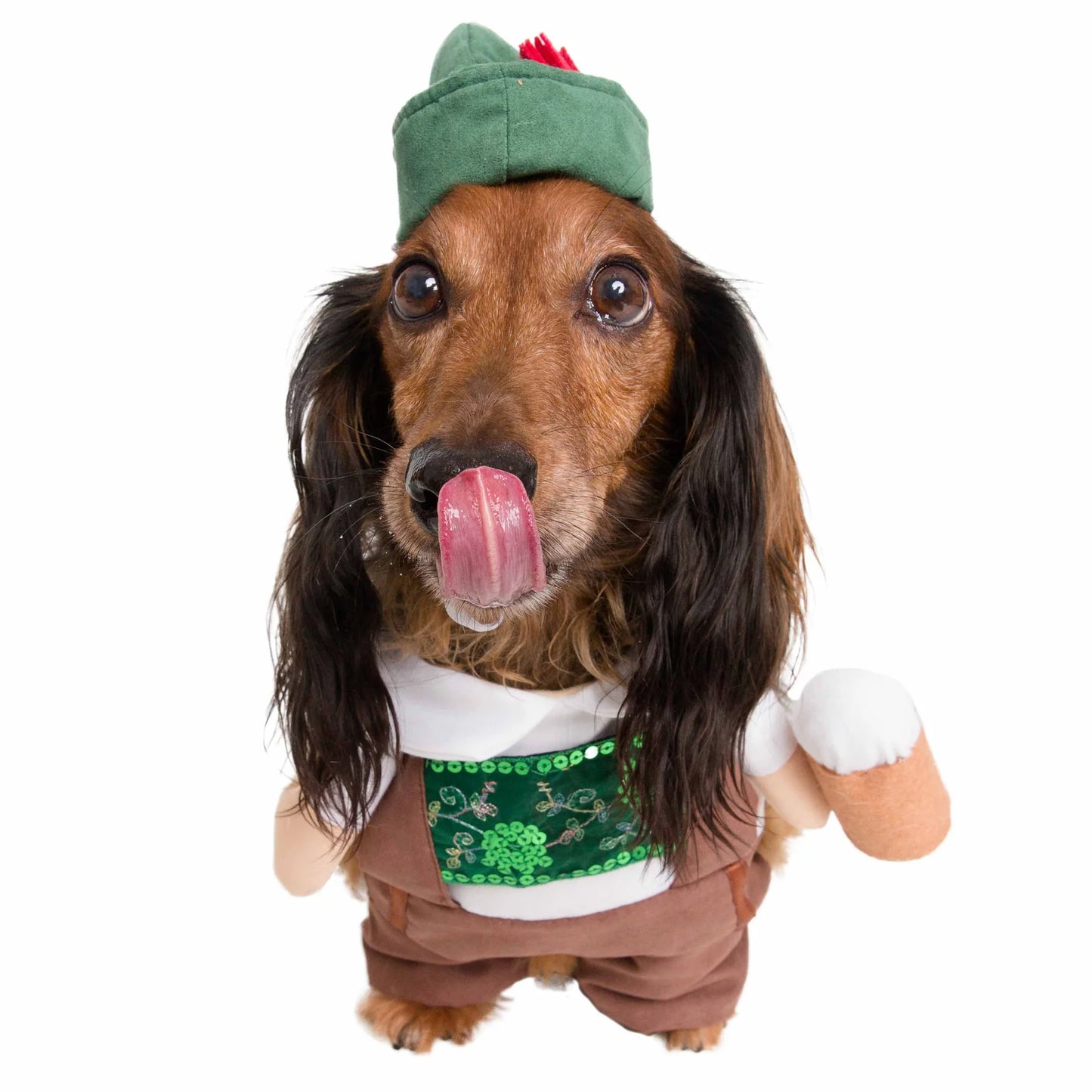 Pet Krewe German Oktoberfest, Dog Costume