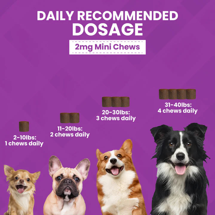 Nootie Progility Minis Calming Aid 60-Count, Dog Supplement