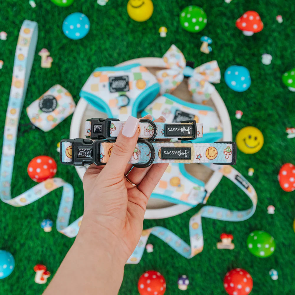 Sassy Woof Mush Love Dog Collar