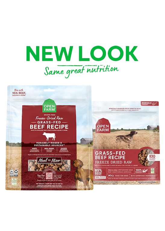 Open Farm Grass-Fed Beef, Freeze-Dried Raw Dog Food