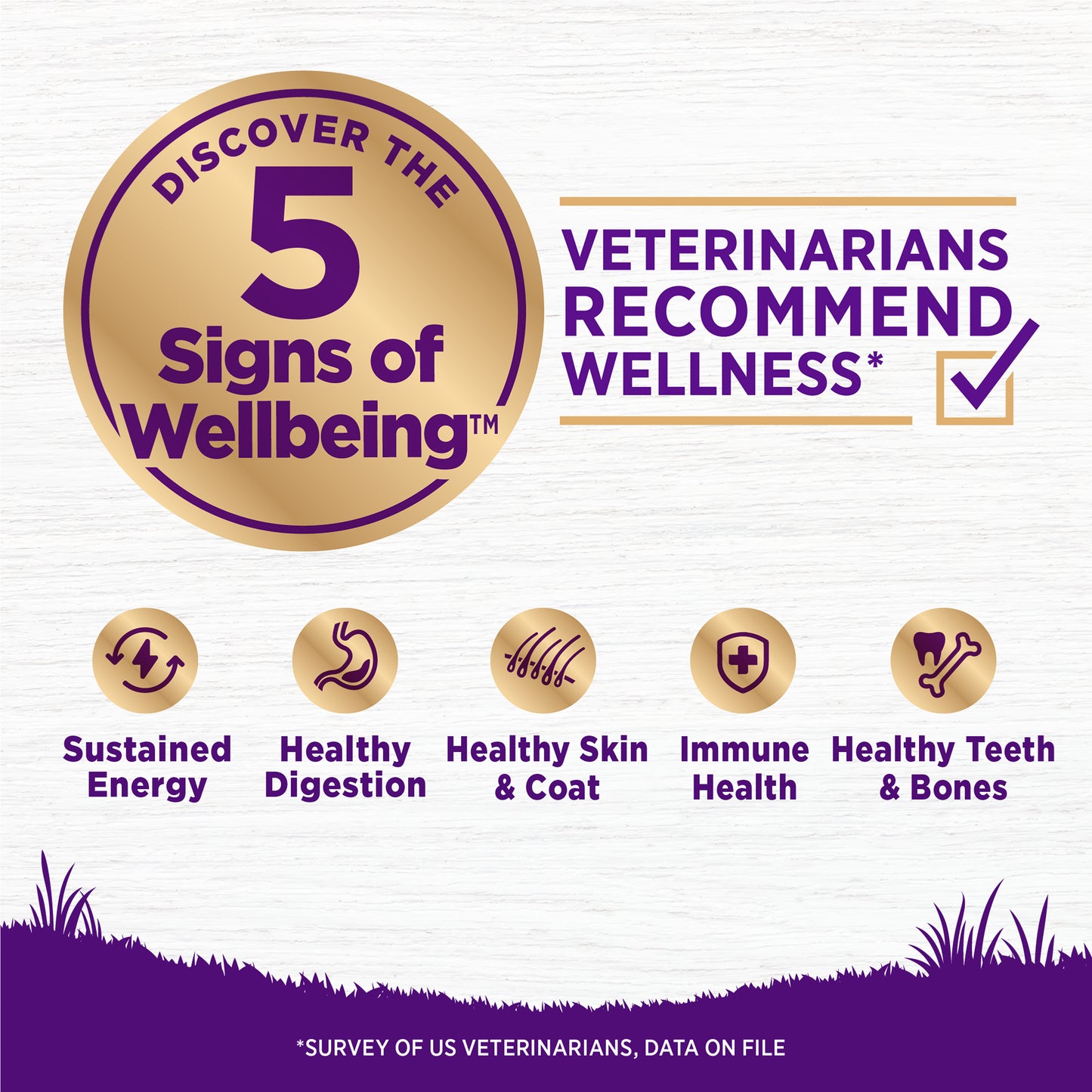 Wellness Complete Health Age Advantage 7+ Senior Recipe, Dry Dog Food, 26-lb Bag