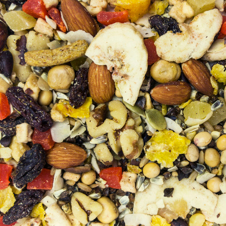 Higgins Sunburst Fruit To Nuts 5-oz, Bird Treat