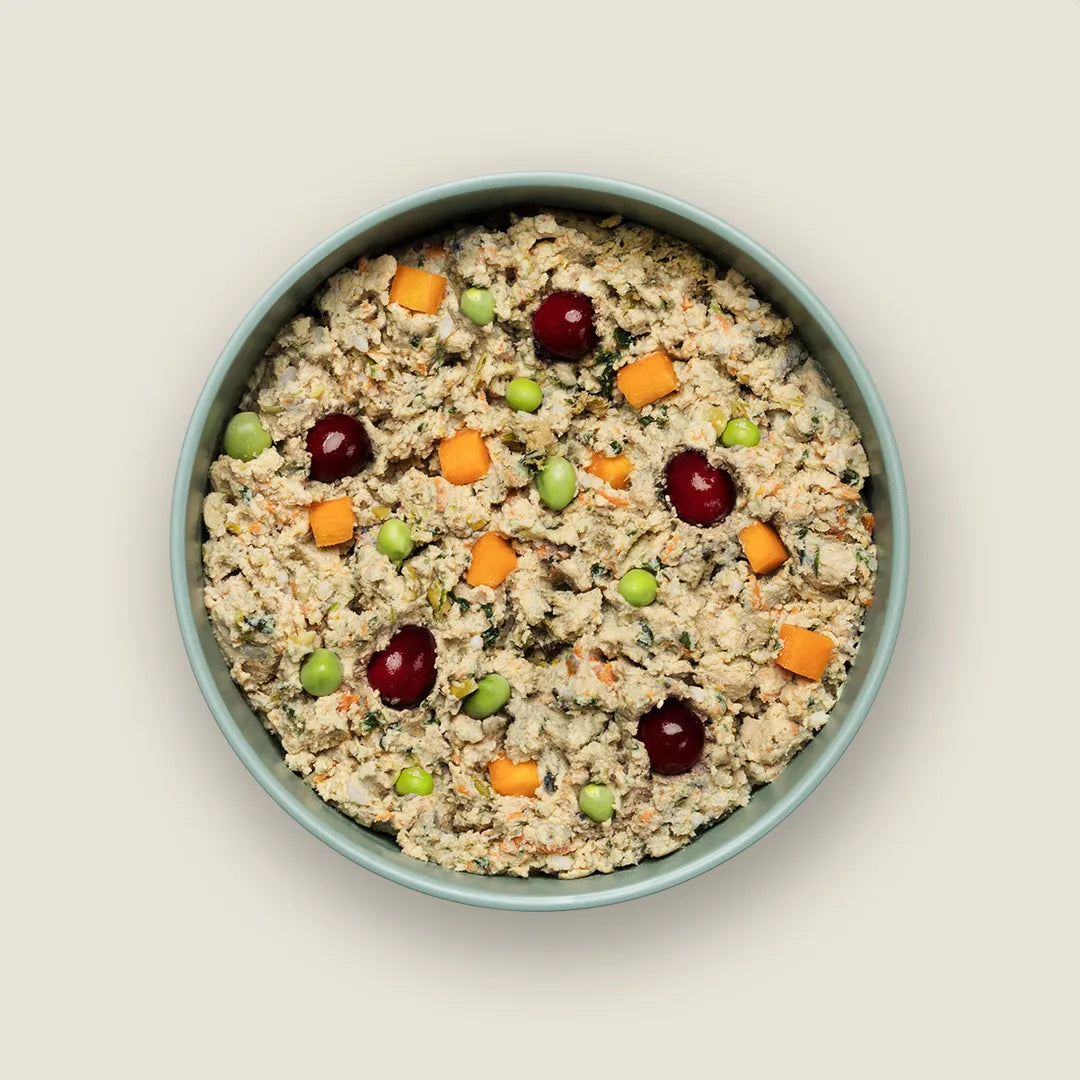 Ollie Fresh Chicken Dog Food With Carrots, Frozen Gently Cooked Dog Food
