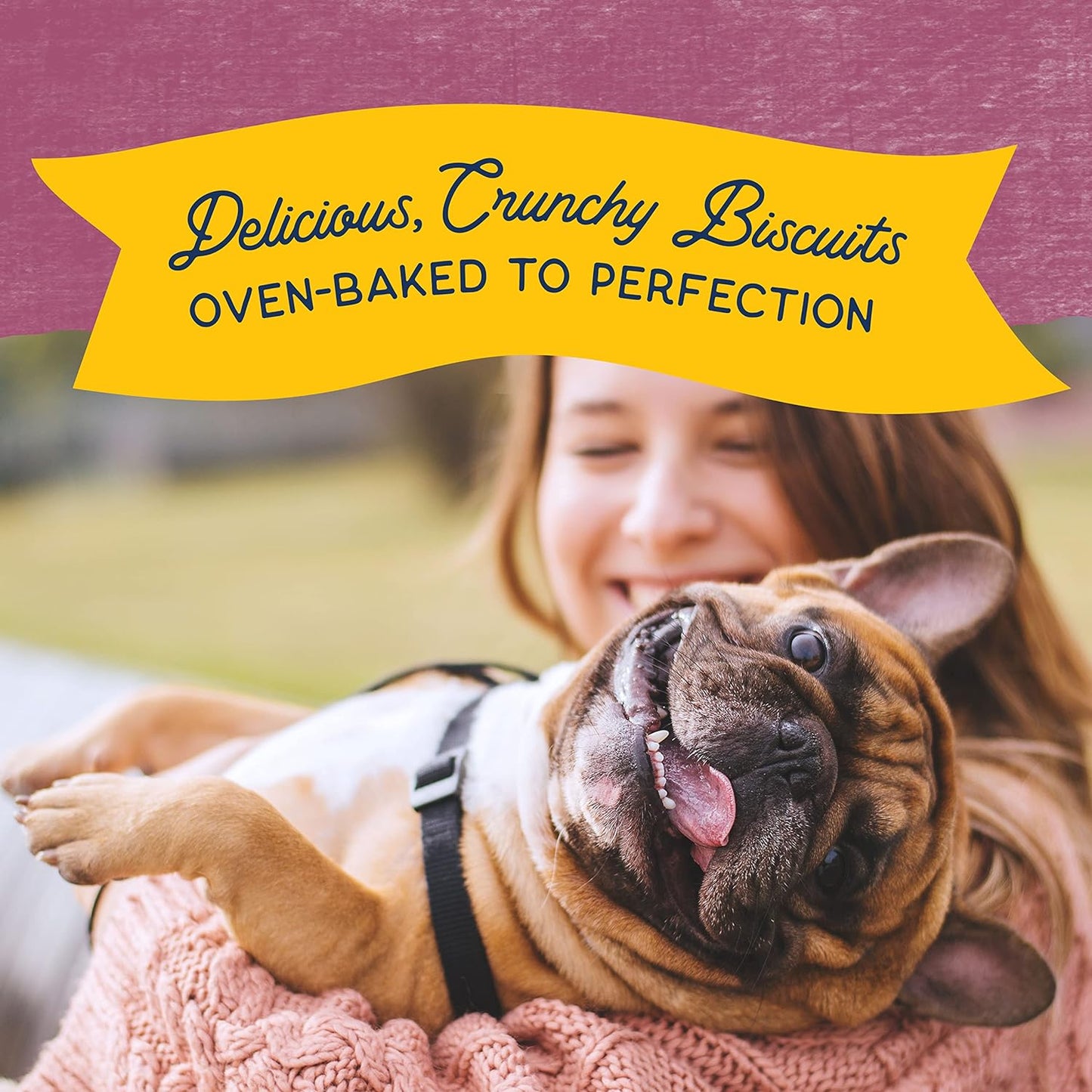 Natural Balance Limited Ingredient Crunchy Biscuits Real Venison Recipe Dog Treat, 14-oz Bag