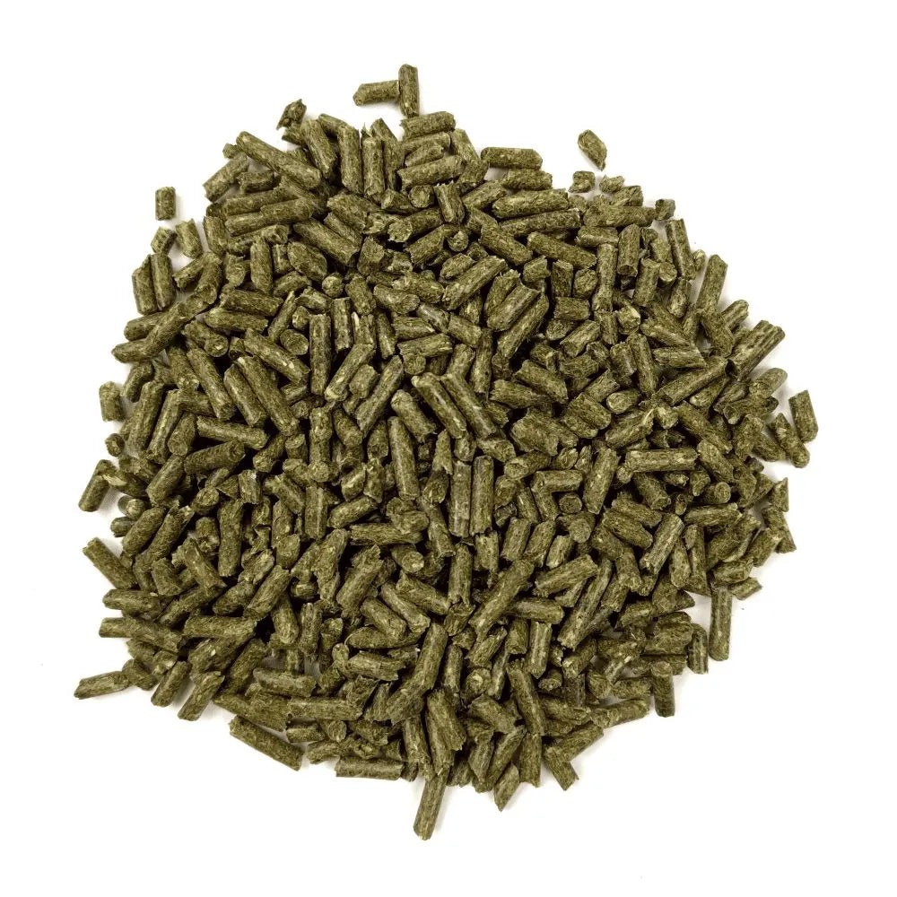 Oxbow Essentials Chinchilla Food, 10-lb