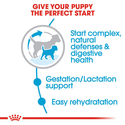 Royal Canin Small Starter Mother & Babydog 2-lb, Dry Dog Food