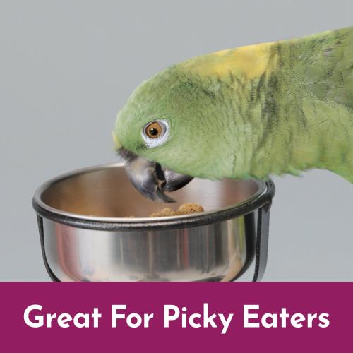 Kaytee Nutrisoft Parrot & Conure 3-lb, Bird Food